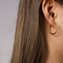 Load image into Gallery viewer, Titanium Steel Engraved Hoops
